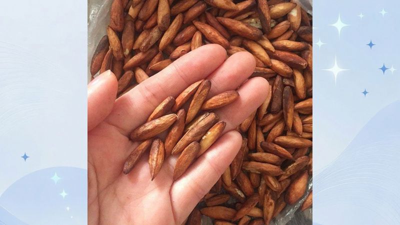 đặc sản vũng tàu
