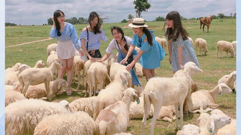 địa điểm du lịch vũng tàu