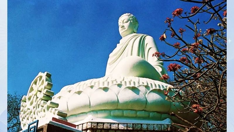du lịch vũng tàu 3 ngày 2 đêm