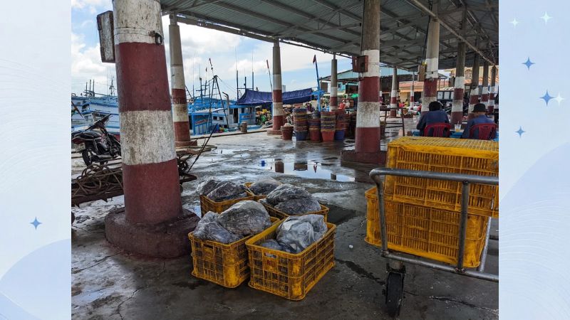 chợ hải sản vũng tàu