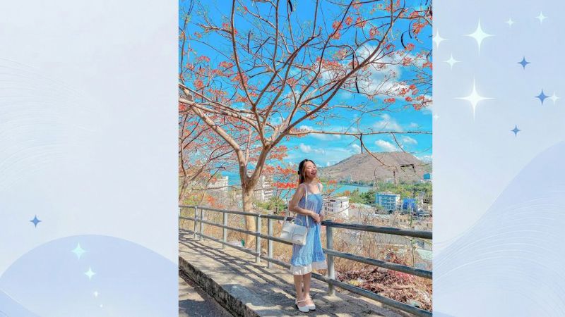 những con đường đẹp ở vũng tàu