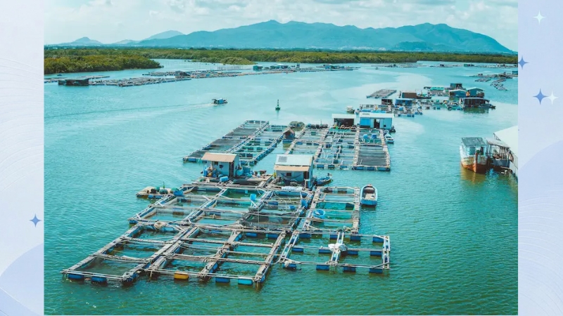 làng bè long sơn