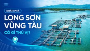 long sơn vũng tàu