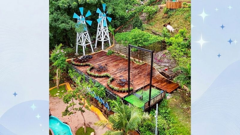 cà phê thú cưng ở vũng tàu