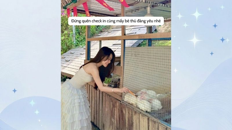cà phê thú cưng ở vũng tàu