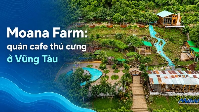 cà phê thú cưng ở vũng tàu