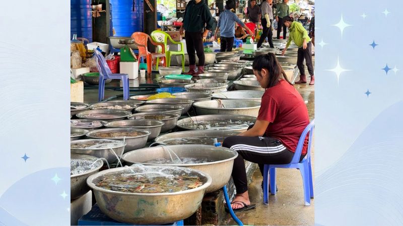 du lịch hồ tràm 2 ngày 1 đêm