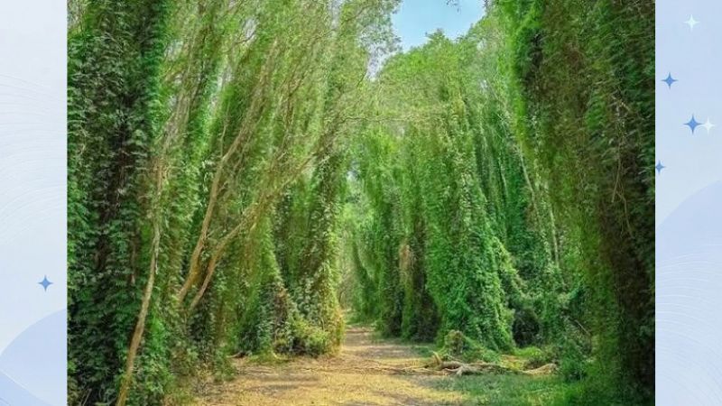 địa điểm du lịch gần vũng tàu